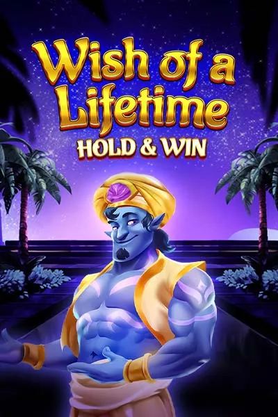 Wish of a Lifetime Hold & Win
